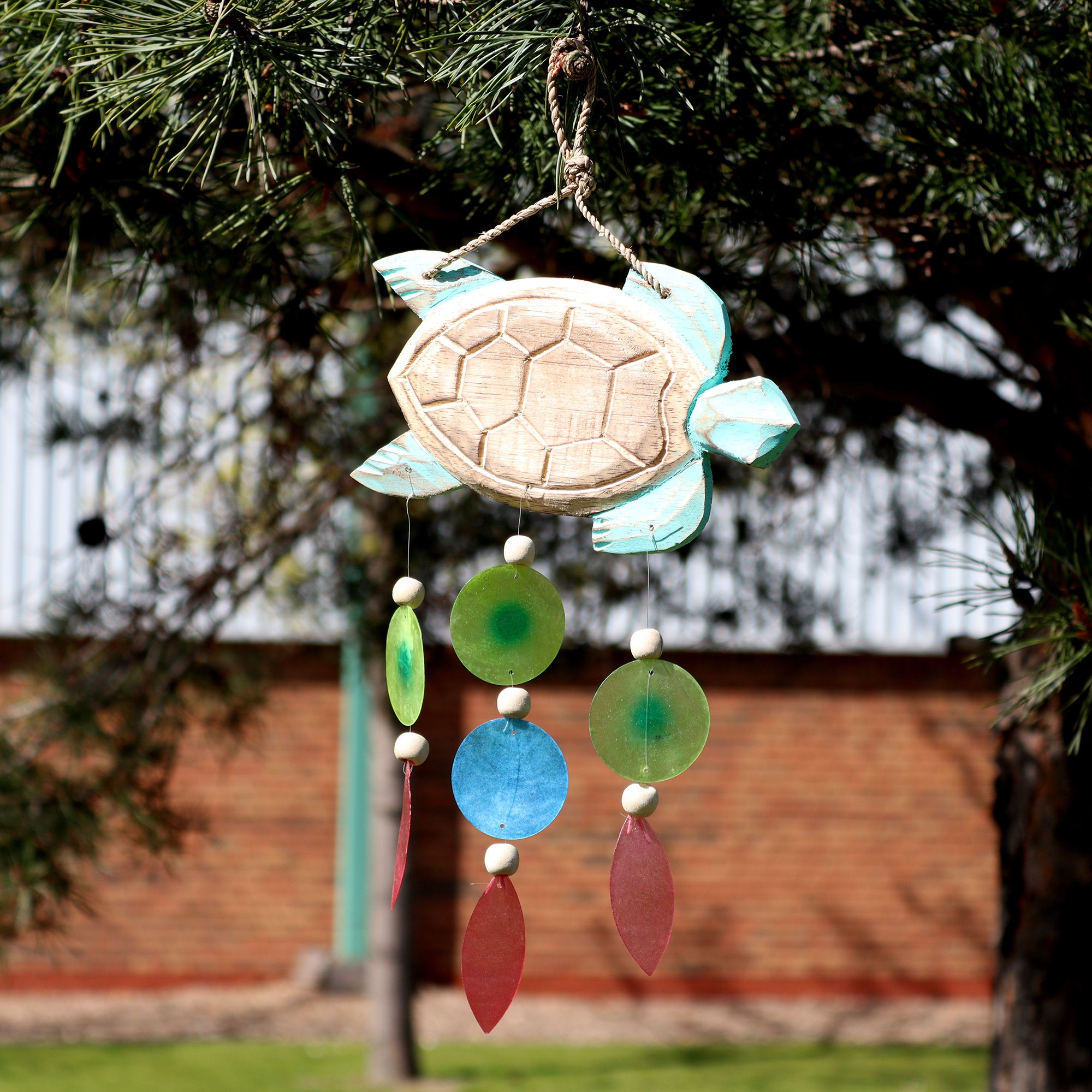 bG9jYWw6Ly9tZWRpYS85Ry80Qy82MFIzMEMxSDc0U0s0QzlHLzYyMTQ0ZTgwLmpwZWc.jpg Aqua Turtle Carving and Copis Drop - Image 2