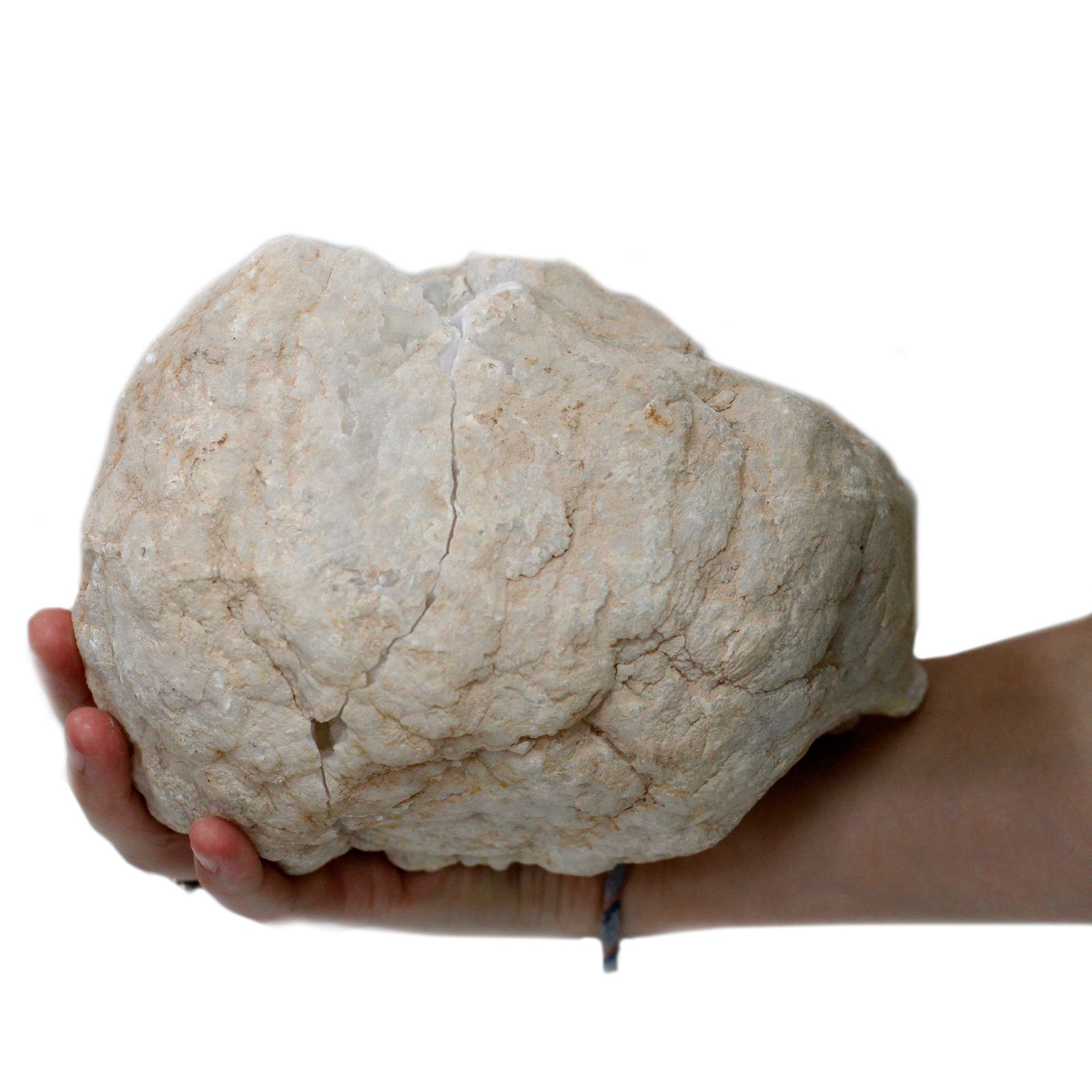 bG9jYWw6Ly9tZWRpYS85Si9BRC82MFIzMEMxRzZNVktBRDlKL2UwM2JlYWJlLmpwZWc.jpg Calsite Geodes - 15-18 cm - Image 8