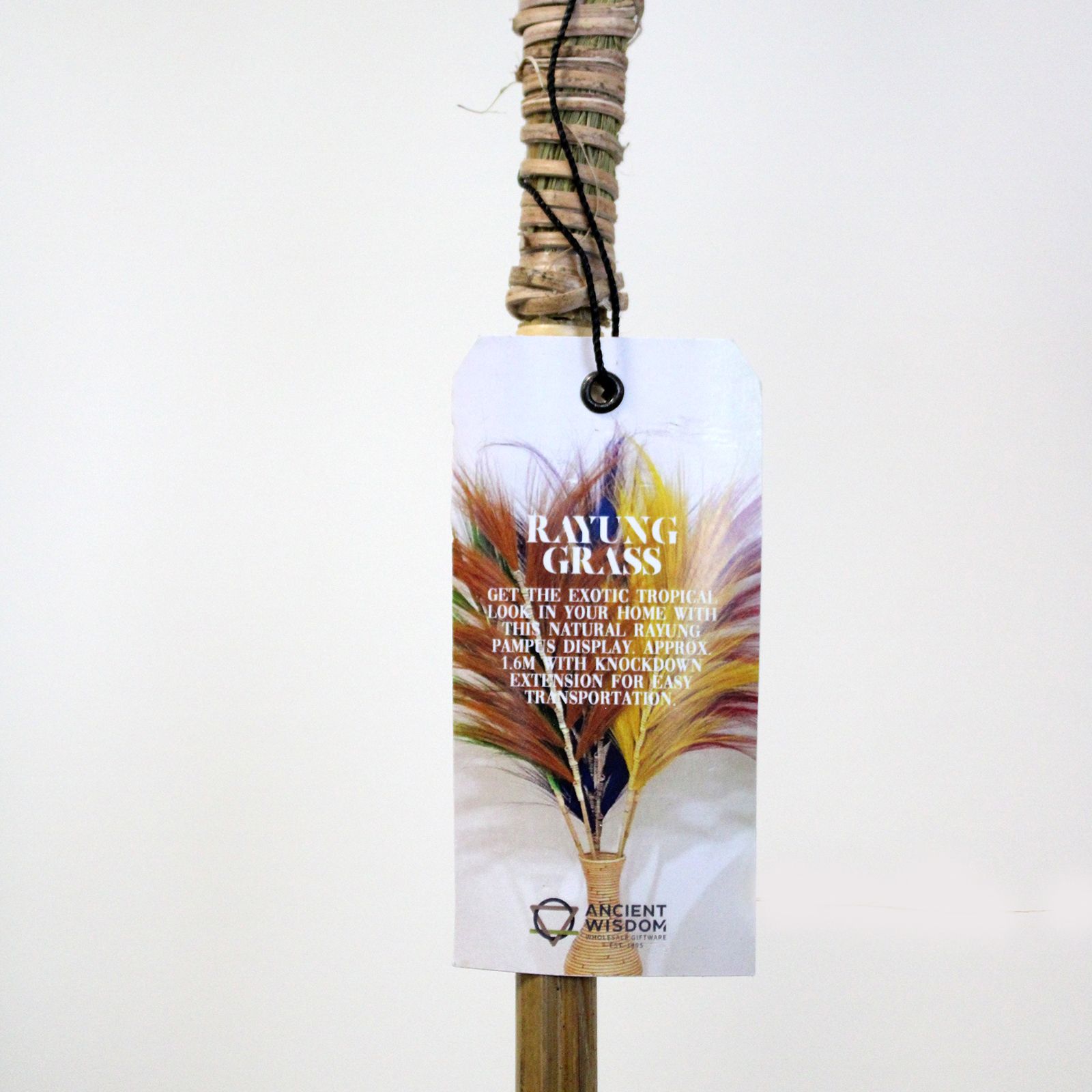 bG9jYWw6Ly9tZWRpYS85Uy9BRS82MFIzMEMxRzZSU0tBRTlTLzYxYTVjM2QxLmpwZWc-3.jpg Rayung Grass Blond - 2m - Image 4