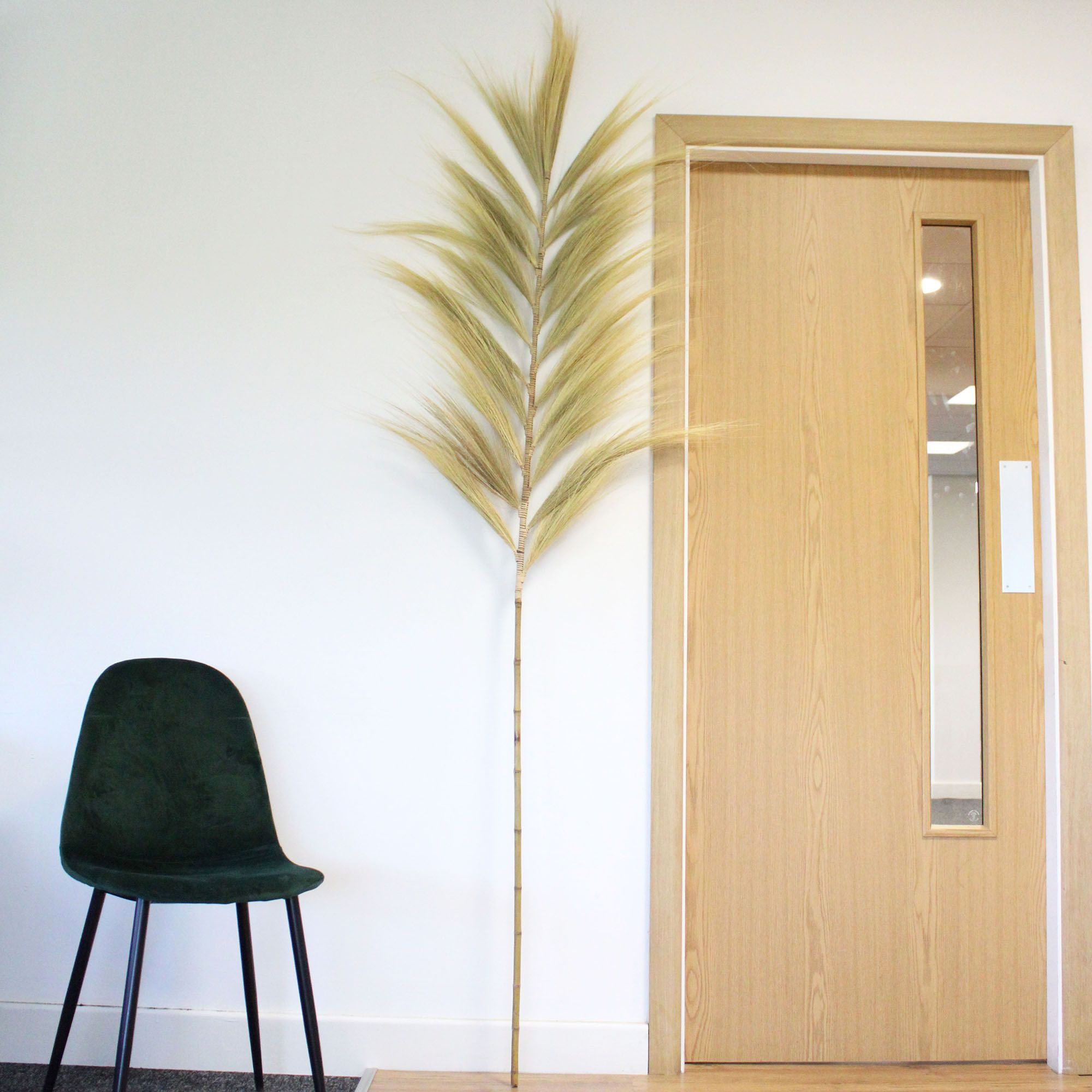 bG9jYWw6Ly9tZWRpYS8xSi80Qy82MFIzMEMxRzZSVDM0QzFKLzM1YjRjNzlhLmpwZWc.jpg Rayung Grass Blond - 2m - Image 3