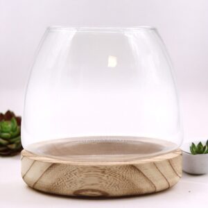 Medium Terrarium on Natural Tung Wood