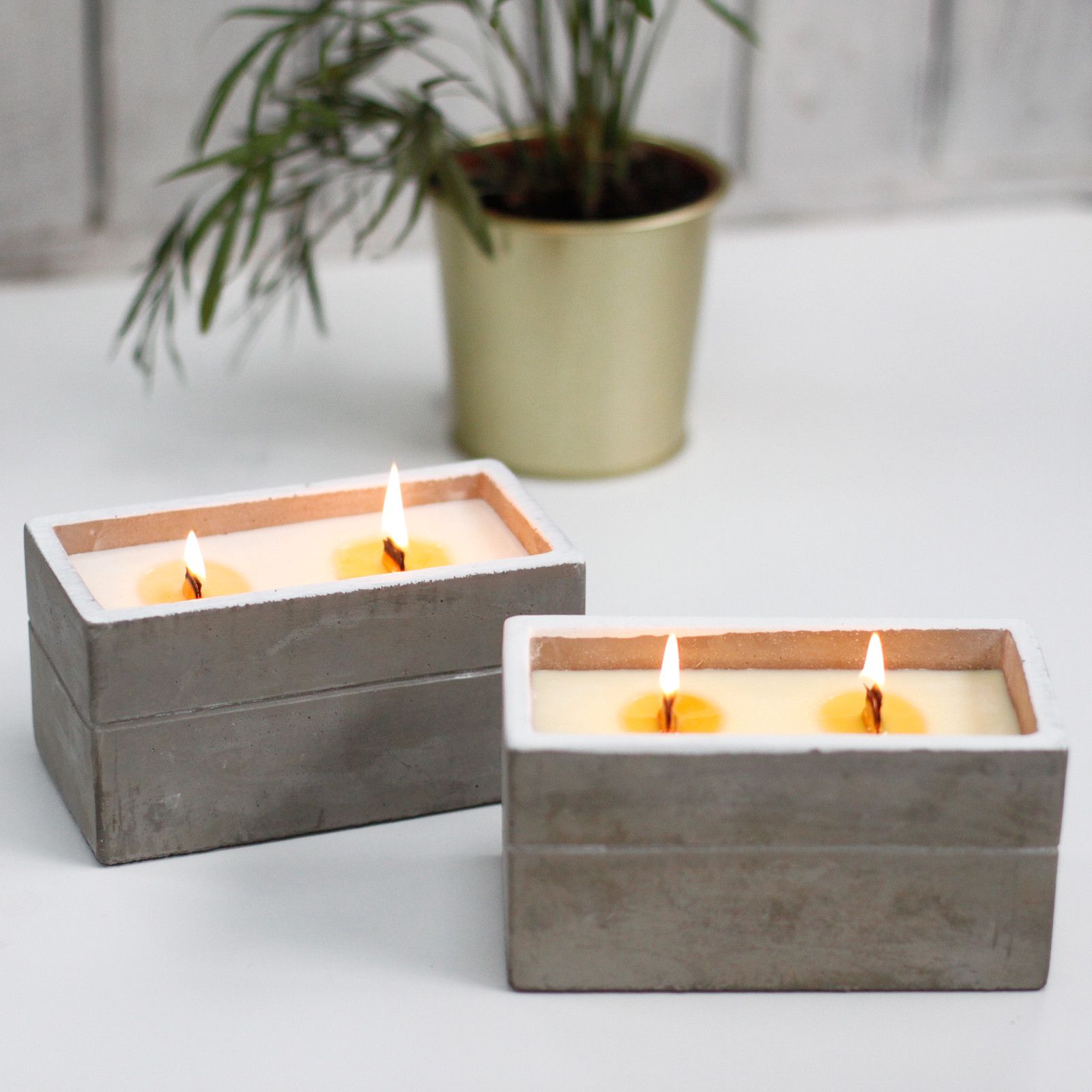bG9jYWw6Ly9tZWRpYS8xUC8wRC82MFIzMEMxRzZNVEswRDFQLzdjNjRiNzQ3LmpwZWc-1.jpg Large Spiced South Sea Lime Candle UK | Wooden Wick Concrete Candle - Image 6