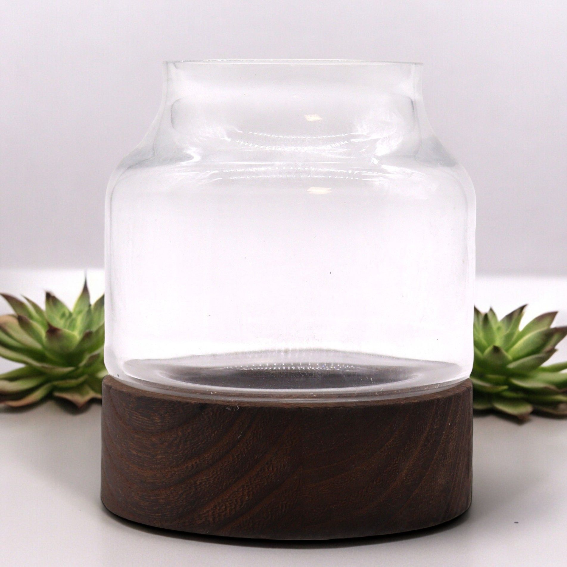 bG9jYWw6Ly9tZWRpYS8xUC9KQy82MFIzMEMxRzZXUzNKQzFQL2U1ZTRjMjNiLmpwZWc.jpg Small Shaped Terrarium on Dark Tung Wood