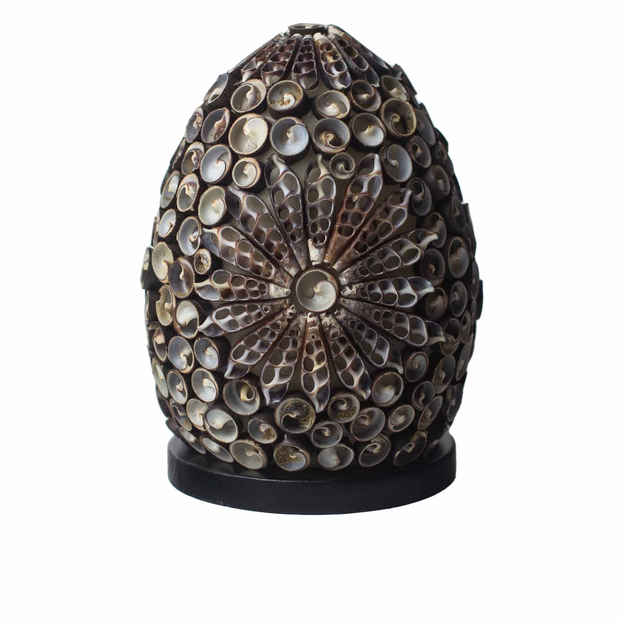 bG9jYWw6Ly9tZWRpYS8xUS82RS82MFIzMEMxRzZXUzM2RTFRLzhjOGNmMzA4LmpwZWc.jpg Boho Sea Shell Lamp - Chocolate Twist Oval - 15cm