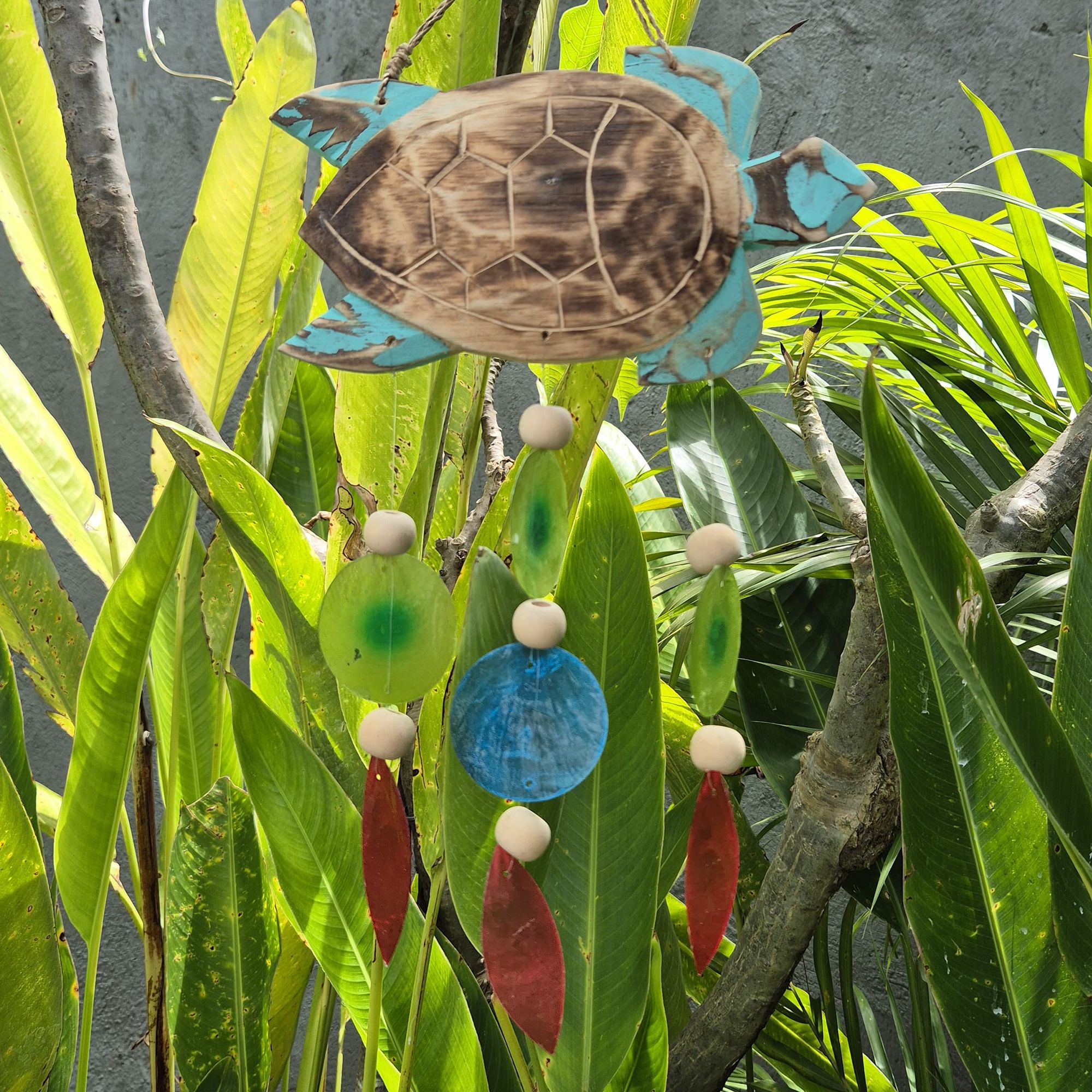 bG9jYWw6Ly9tZWRpYS8xUS9FRS82MFIzMEMxSDc0UzNFRTFRLzlmNGVkMWJlLmpwZWc.jpg Aqua Turtle Carving and Copis Drop - Image 5