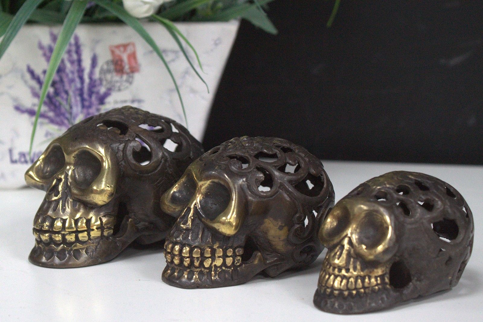 bG9jYWw6Ly9tZWRpYS9IRy80RC82MFIzMEMxRzZNUjM0REhHLzgwNmVlZjRlLmpwZWc.jpg Vintage Brass Skull - Small - Image 5