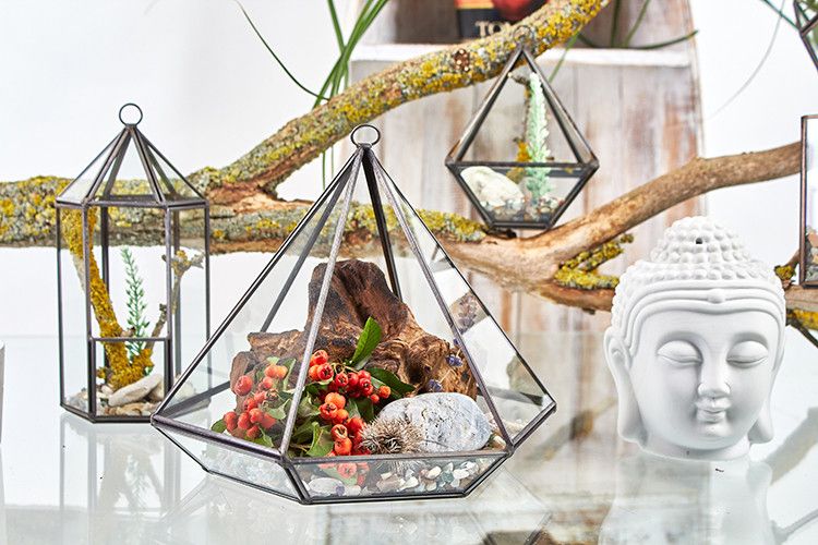 bG9jYWw6Ly9tZWRpYS9IRy82Qy82MFIzMEMxRzZNVEs2Q0hHLzk4NWEzOGExLmpwZWc-2.jpg Glass Terrarium - Lantern Shape - Image 5