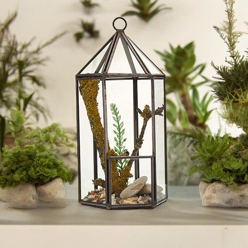 bG9jYWw6Ly9tZWRpYS9IUy82Qy82MFIzMEMxRzZNVEs2Q0hTL2RhNTEwNGMwLmpwZWc.jpg Glass Terrarium - Lantern Shape