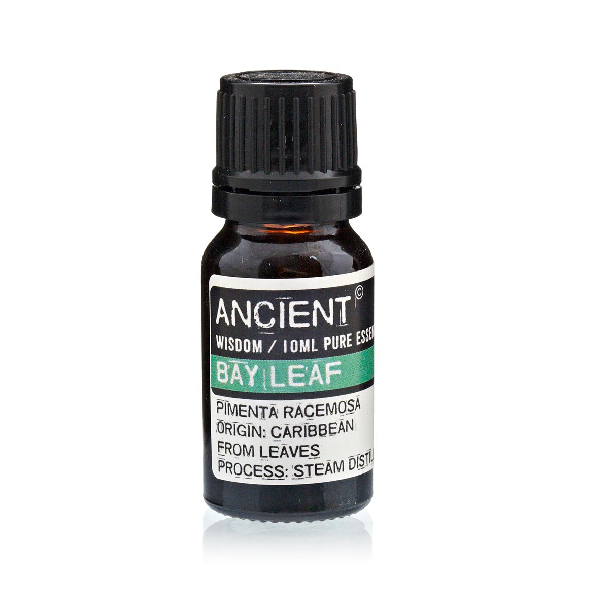 bG9jYWw6Ly9tZWRpYS9TSC8yRC82MFIzMEMxRzY0VksyRFNILzM4NmZkOWMzLmpwZWc.jpg 10 ml Bay Leaf Essential Oil