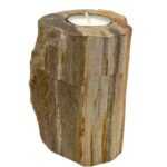 Petrified Wood Candle Holder - Single Tall | The Global Lifestyle Hub
