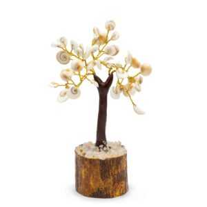 bg9jyww6ly9tzwrpys8xsc80qy82mfizmemxrzzxvdm0qzfilze3owjjowqylmpwzwc 1.jpg