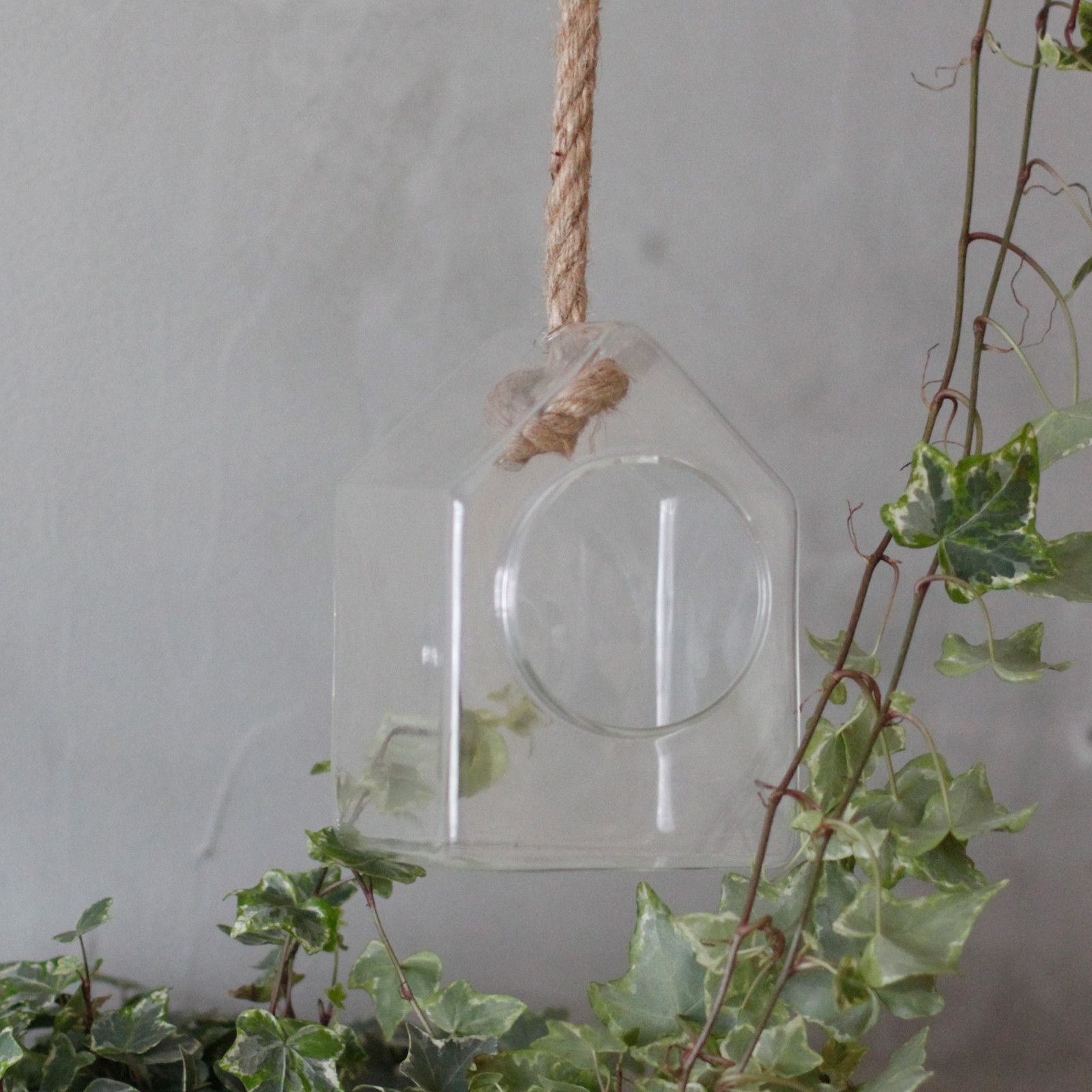 bG9jYWw6Ly9tZWRpYS8xTS80RS82MFIzMEMxRzZNVEs0RTFNL2FhODIzNjRmLmpwZWc.jpg All Glass Terrarium - Hanging House on Rope - Image 9