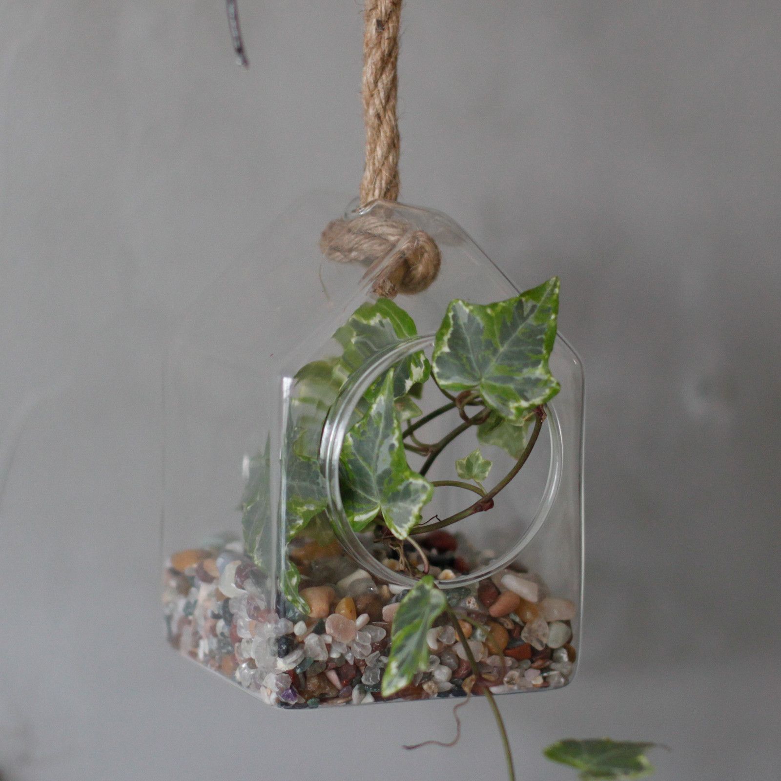 bG9jYWw6Ly9tZWRpYS8xTi80RS82MFIzMEMxRzZNVEs0RTFOL2FjYmUzMTE5LmpwZWc.jpg All Glass Terrarium - Hanging House on Rope - Image 3