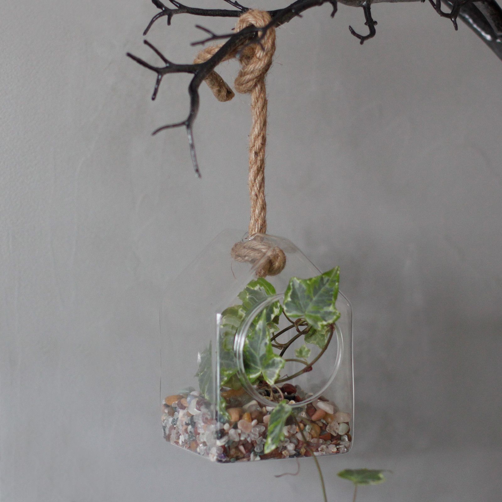 bG9jYWw6Ly9tZWRpYS8xUC80RS82MFIzMEMxRzZNVEs0RTFQLzcyYjk5NGEwLmpwZWc.jpg All Glass Terrarium - Hanging House on Rope - Image 4