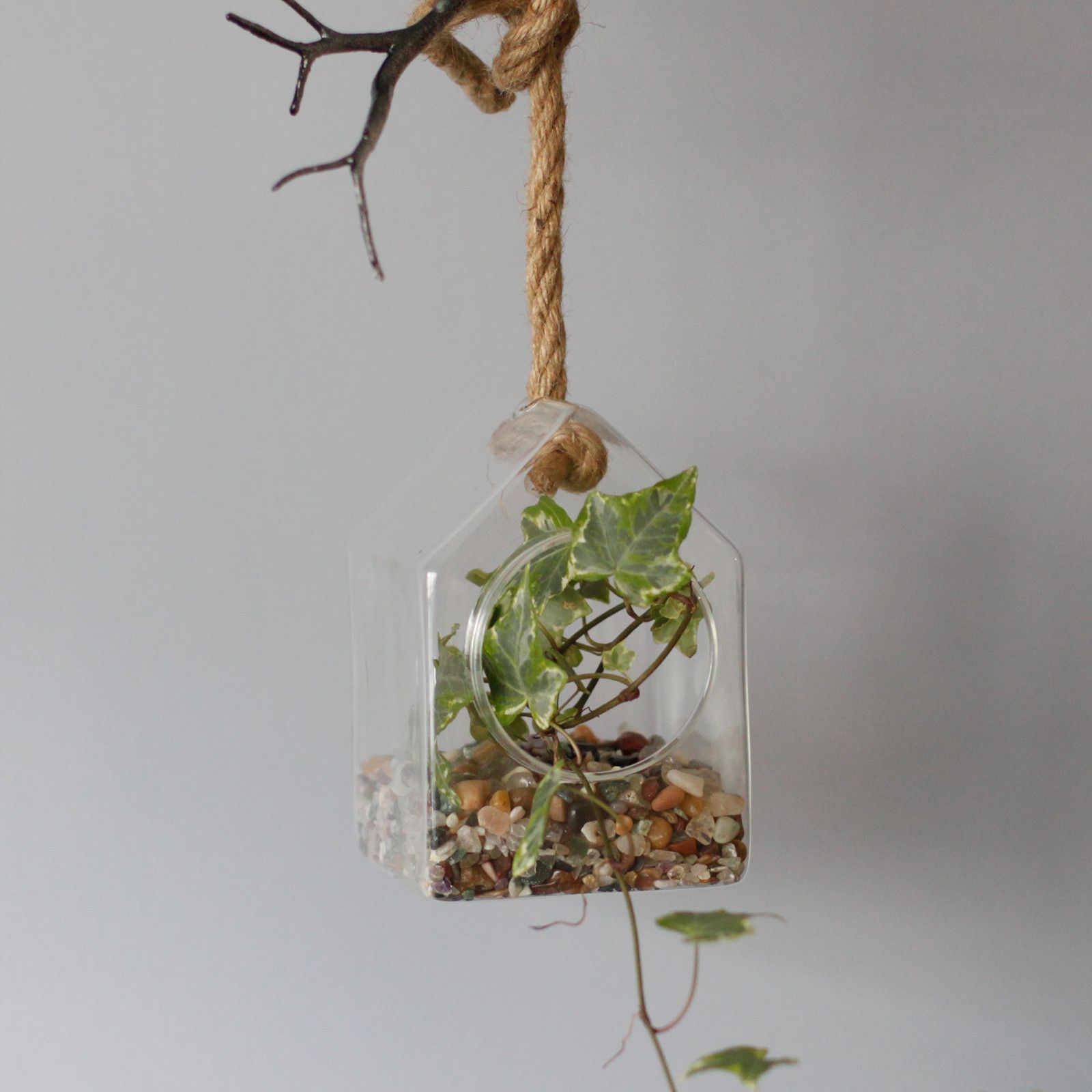 bG9jYWw6Ly9tZWRpYS8xUS80RS82MFIzMEMxRzZNVEs0RTFRL2UxMGM2NjQ1LmpwZWc.jpg All Glass Terrarium - Hanging House on Rope - Image 5