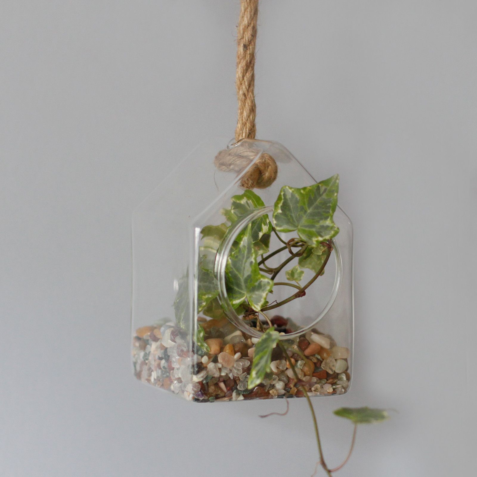 bG9jYWw6Ly9tZWRpYS8xUi80RS82MFIzMEMxRzZNVEs0RTFSLzc2MjIwNDdkLmpwZWc.jpg All Glass Terrarium - Hanging House on Rope