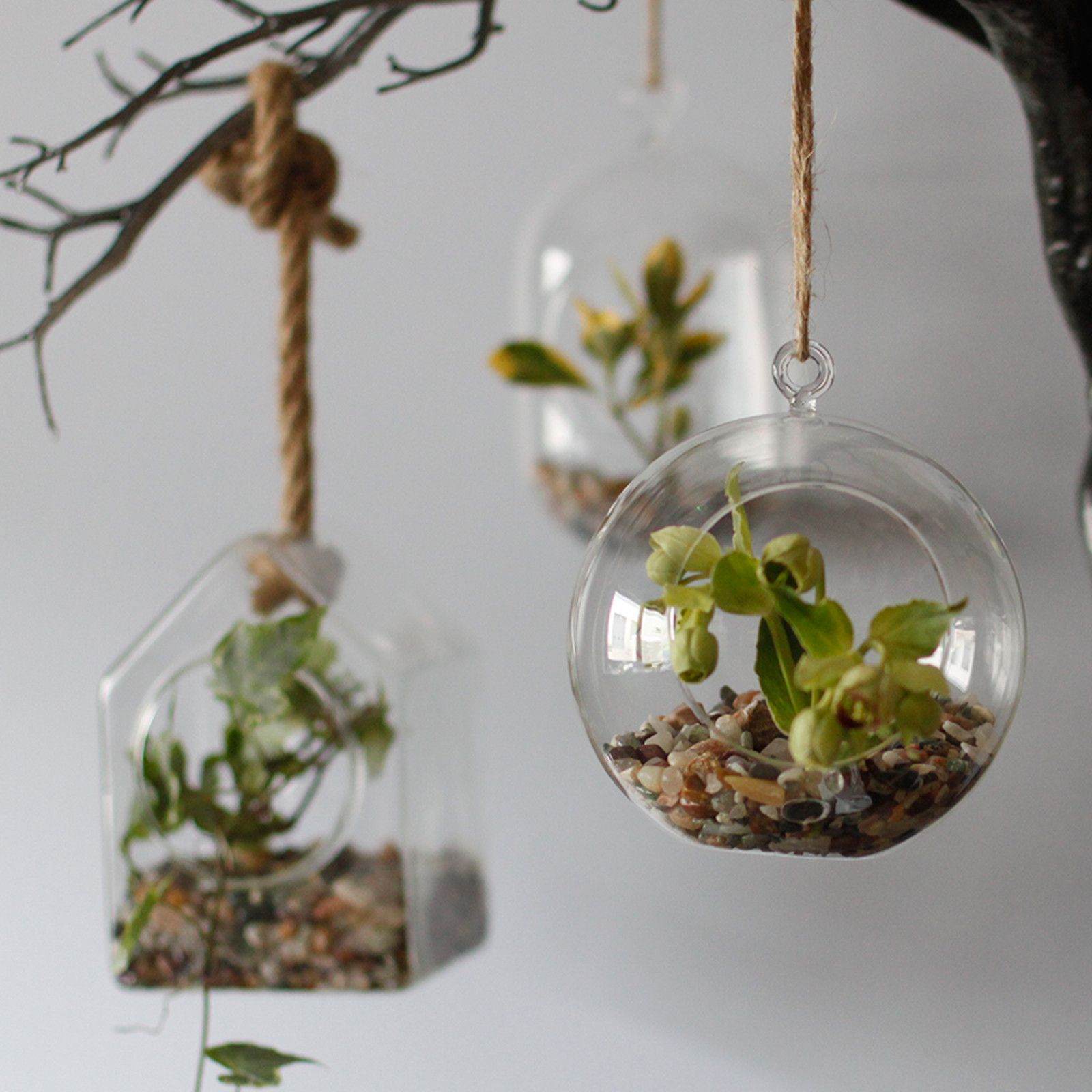 bG9jYWw6Ly9tZWRpYS9TSi80RC82MFIzMEMxRzZNVEs0RFNKL2NmODRjN2FjLmpwZWc.jpg All Glass Terrarium - Hanging House on Rope - Image 10